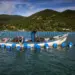 Senar inicia ações do Projeto Aquicultura Brasil