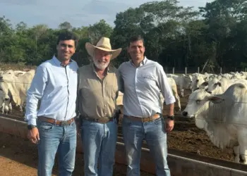Fazenda Encontro da Natureza recebe especialistas para avaliação da 4ª Prova de Ganho de Peso (PGP)