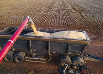 Endividado, megaprodutor do Tocantins paralisa pagamento aos credores