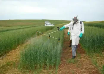 Programa para redução do uso de defensivos agrícolas está sendo elaborado, diz ministro