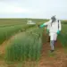 Programa para redução do uso de defensivos agrícolas está sendo elaborado, diz ministro