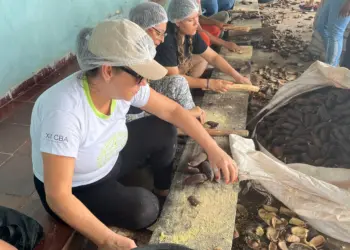 Caseara – TO: Farinhada de Jatobá celebra o extrativismo e saberes ancestrais no Assentamento Onalício Barros