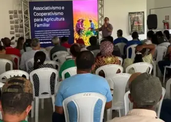 Estado fortalece associativismo e cooperativismo com capacitação de agricultores em Paraíso do Tocantins