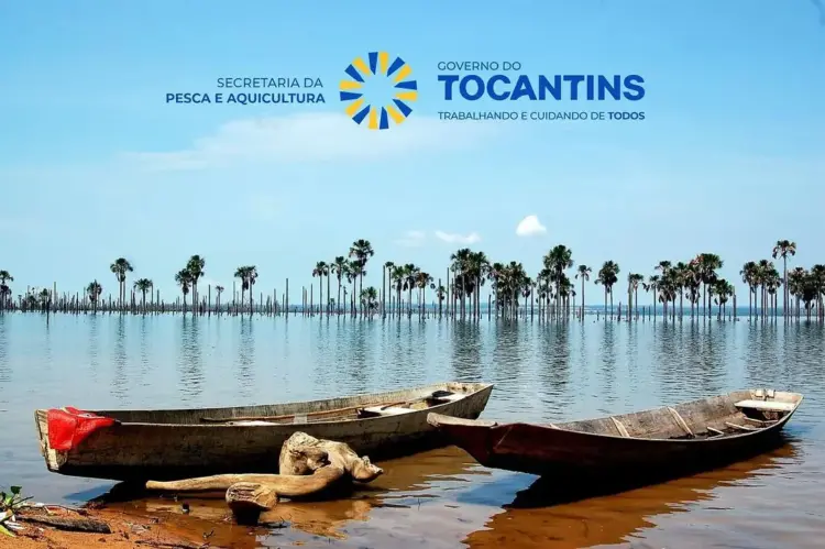 Sepea lança o 1ª Boletim da Pesca do Tocantins nesta segunda, 28