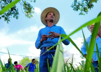 Sistema FAET/Senar Realiza Dia de Campo na Fazenda Retiro em Arraias