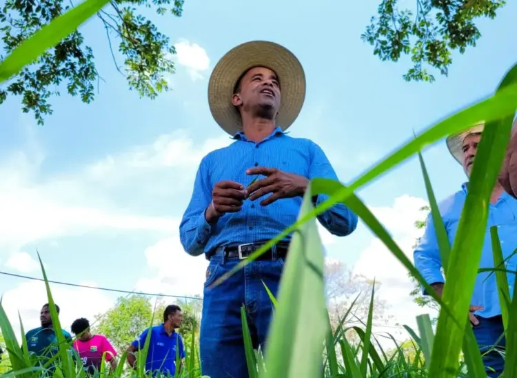 Sistema FAET/Senar Realiza Dia de Campo na Fazenda Retiro em Arraias