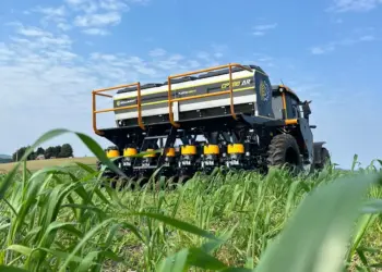 Plantio terá que ser preciso para não comprometer os resultados da safra 2024/25