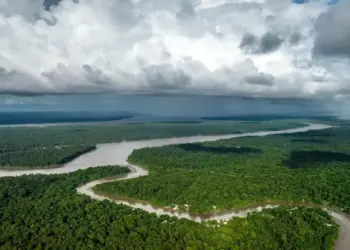 Produtores rurais da Amazônia lançam movimento contra narrativas ambientalistas e políticas governamentais, exigindo diálogo e participação na COP30
