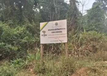 Pesquisa sobre sustentabilidade aplicada no Acre utiliza conceito de Carbono Social, que teve origem no Tocantins