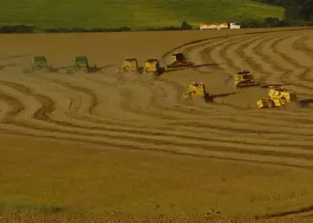 La Niña de baixa intensidade influencia a safra 2024/25