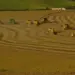La Niña de baixa intensidade influencia a safra 2024/25