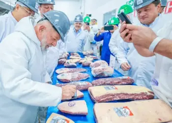 Habilitação de 38 novas fábricas amplia exportações de carne para a China