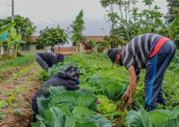 Projeto destina parte dos recursos de loterias para o crédito rural