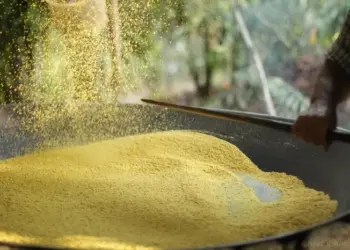 BNDES e parceiros lançam chamadas públicas para projetos de inclusão produtiva no Portal do Jalapão e Serras Gerais