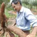 Lançamento do Projeto Pão da Terra beneficiará 8 municípios do Bico do Papagaio nesta terça-feira, 29
