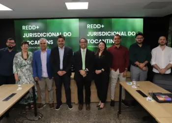 Tocantins e Piauí realizam parcerias para avanços na área ambiental e conhecer o programa Jurisdicional REDD+