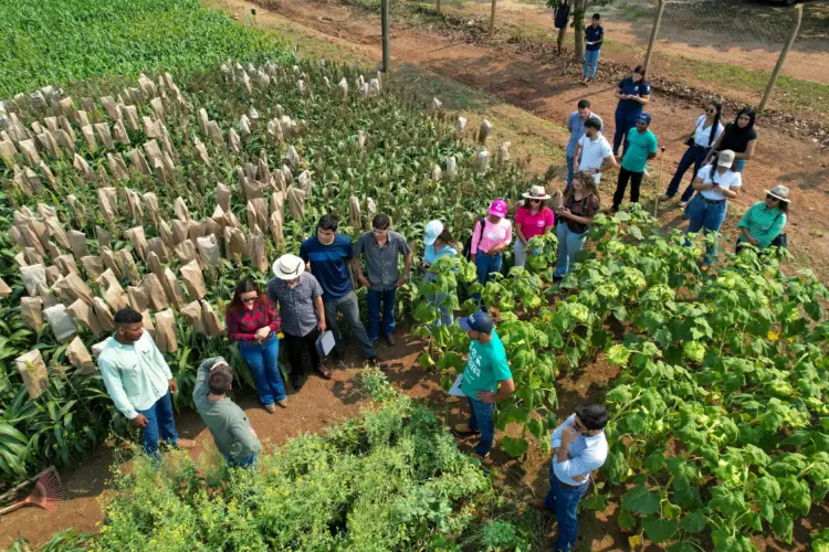 UniCatólica realiza pesquisa com foco em sementes para a região