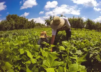 População rural acelera queda e perde 4,3 milhões de pessoas no Brasil