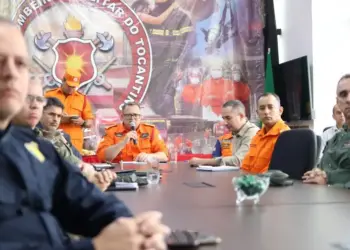 Estado encerra Operação Tocantins Mais Verde com investimento de R$ 8 mi