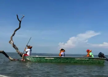 Sepea realiza 1ª Conferência Estadual da Pesca no Tocantins