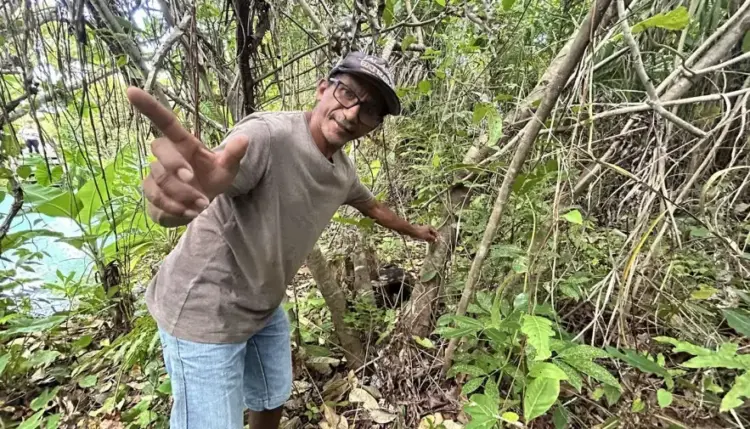 Naturatins financia pesquisa sobre baunilhas nativas