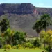 Tocantins registra 85% de redução de áreas impactadas com desmatamento