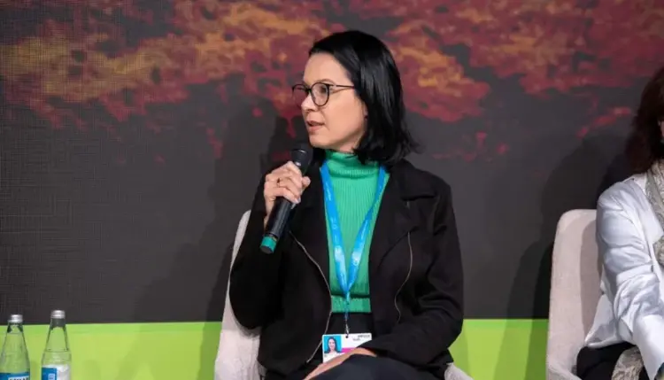 Delegação tocantinense destaca urgência de financiamento climático para combater incêndios na Amazônia Legal na COP 29