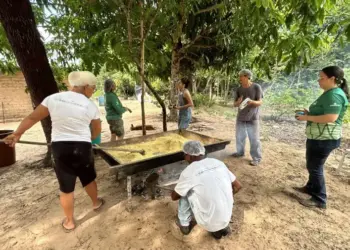 Fazenda Mundo Novo conclui a tradicional farinhada de jatobá do Zé Mininim