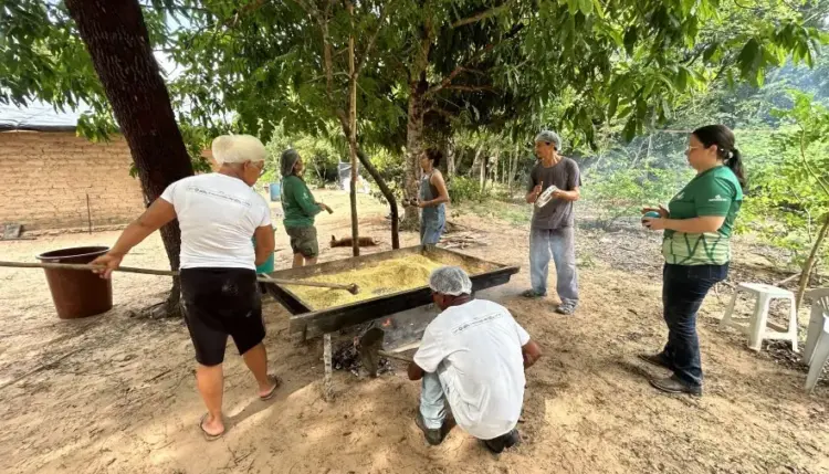 Fazenda Mundo Novo conclui a tradicional farinhada de jatobá do Zé Mininim
