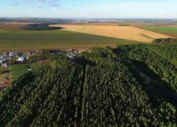 CNA afirma que PL de bioinsumos traz mais segurança jurídica para produtores