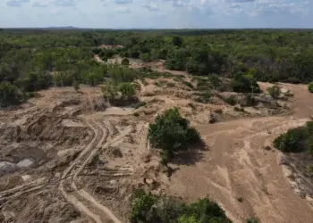 Ibama interrompe atividade de garimpo ilegal de ouro no Tocantins