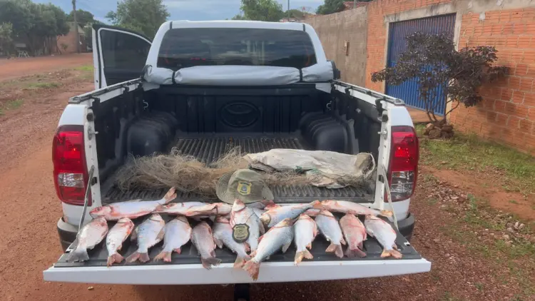 Piracema: Fiscalização ambiental apreende pescado ilegal na região sul do Estado