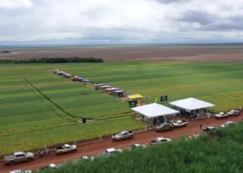 XV Jornada Tecnológica de Pedro Afonso e Região será realizada em janeiro de 2025