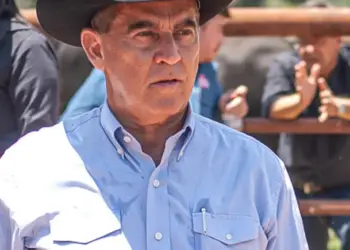 O futuro da pecuária de corte no Brasil: desafios e perspectivas