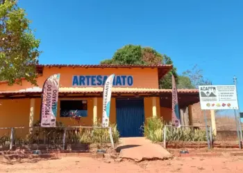 Associação de Mateiros promove sustentabilidade e valorização cultural no Jalapão 