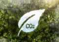 Perspectivas para o mercado de crédito de carbono no Brasil em 2025