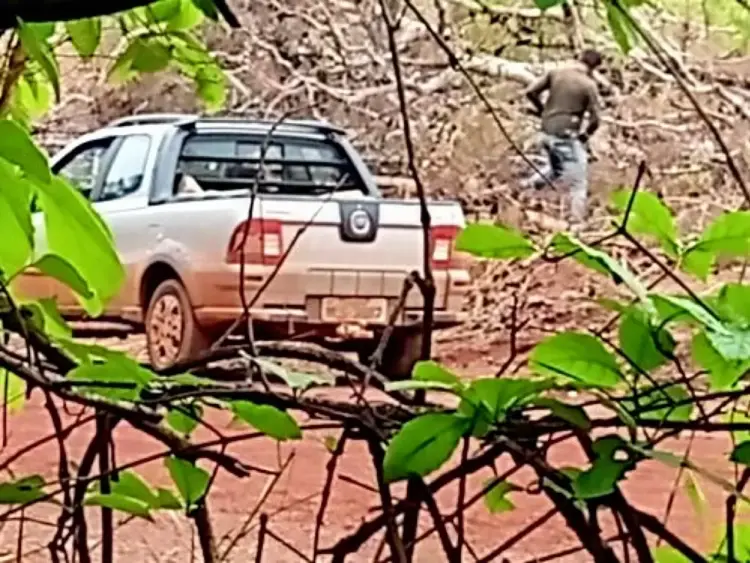 DENÚNCIA: Desmatamento ilegal em assentamento no município de Miracema do Tocantins gera preocupação na comunidade local