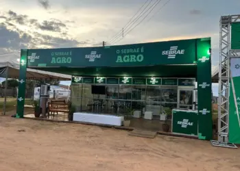 Sebrae Tocantins marca presença na Exposição Agropecuária de Dianópolis