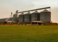 Armazenagem cresce no Brasil, mas Abimaq alerta para risco de colapso no pós-colheita