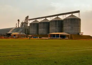 Armazenagem cresce no Brasil, mas Abimaq alerta para risco de colapso no pós-colheita