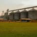 Armazenagem cresce no Brasil, mas Abimaq alerta para risco de colapso no pós-colheita