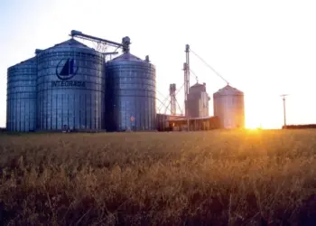 O papel das cooperativas no combate às mudanças climáticas é destaque na COP29