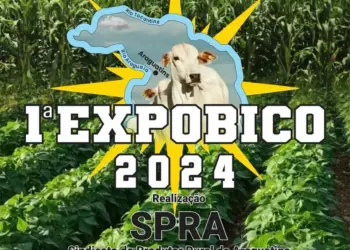 EXPOBICO 2024: Um Novo Marco para o Agronegócio no Bico do Papagaio