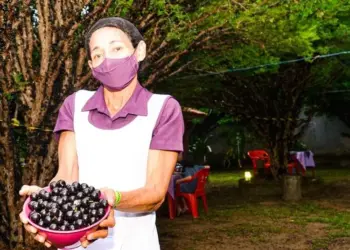6ª Festa da Jabuticaba de Taquaruçu acontece a partir do dia 14; Visitação aos pomares já estão abertas