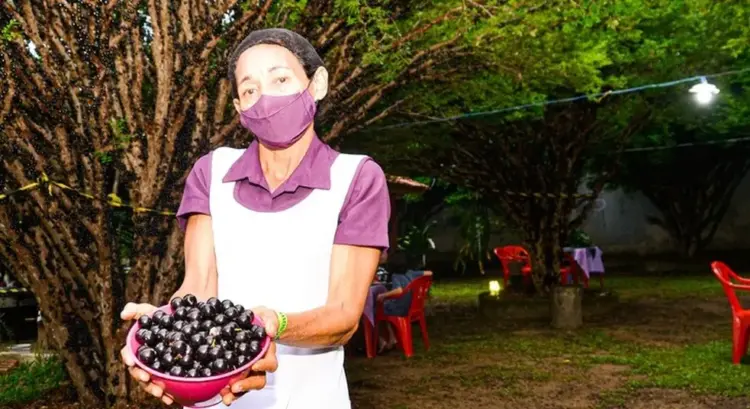 6ª Festa da Jabuticaba de Taquaruçu acontece a partir do dia 14; Visitação aos pomares já estão abertas