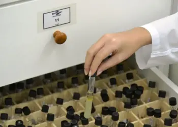 PL de Bioinsumos destaca a ciência como base para políticas públicas