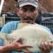 Projeto Bagfish: Piscicultura ganha força na comunidade indígena Krahô, em Lagoa da Confusão