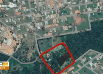 Justiça ordena desocupação de área verde usada para criação de gado em Gurupi