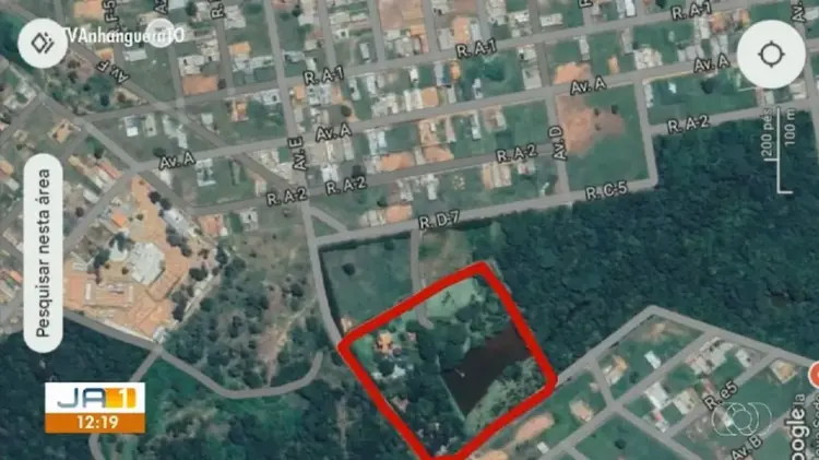 Justiça ordena desocupação de área verde usada para criação de gado em Gurupi