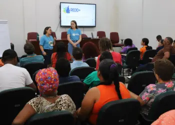 Tocantins avança com as reuniões prévias do processo de construção das oficinas de salvaguardas do REDD+ Jurisdicional do Estado